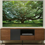 Mueble de TV tipo Treku de chapa de nogal 180 x 40 cm.