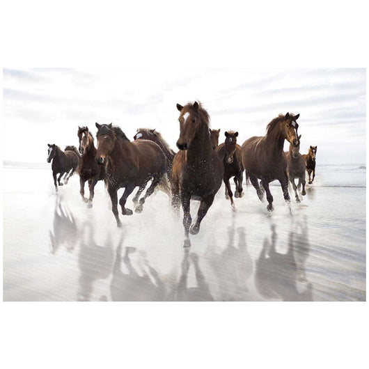 Foto sobre cristal carrera de caballos 120x80 y 180x120 cm.