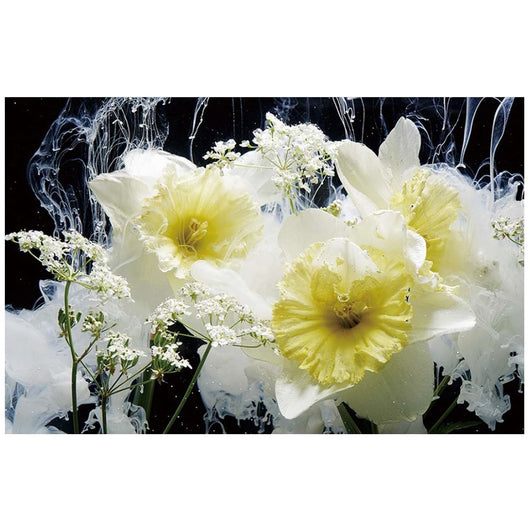 Foto sobre cristal flores blancas 150x100 cm.