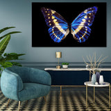 Foto sobre cristal mariposa azul 120x80 cm.