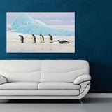 Foto sobre cristal pingüinos 120x80 cm.