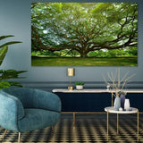 Foto sobre cristal árbol de la vida 120x80 y 180x120 cm.
