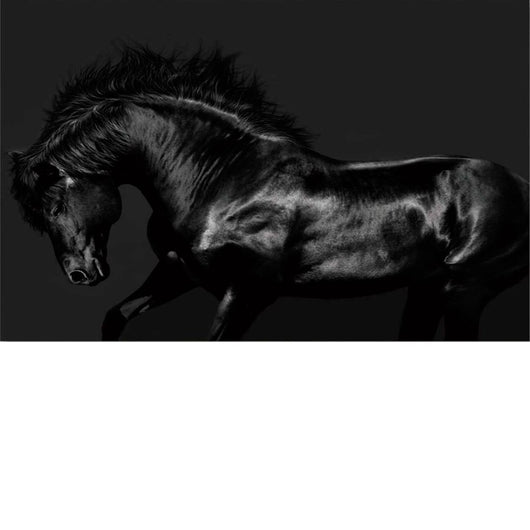 Foto sobre cristal caballo negro 150x100 cm.