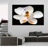 Foto sobre cristal flor blanca 150x100 cm.